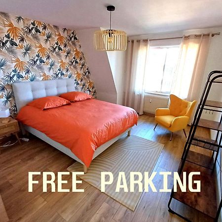 Confortable Spacieux Grand Rue - Garage Saverne Buitenkant foto